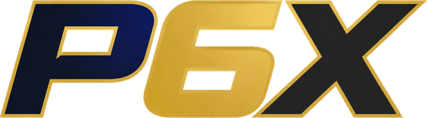 p6x Logo